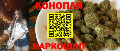 стаф Пенза