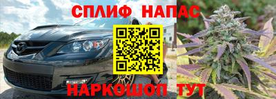 стаф Пенза