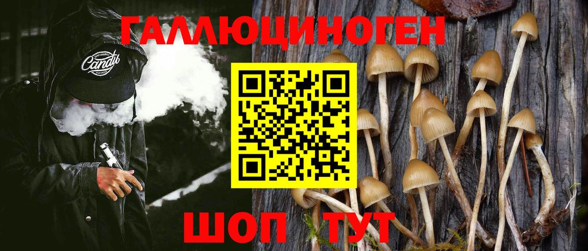 Псилоцибиновые грибы ЛСД  Вход с VPN  Острогожск  Псилоцибиновые грибы Psilocybe 